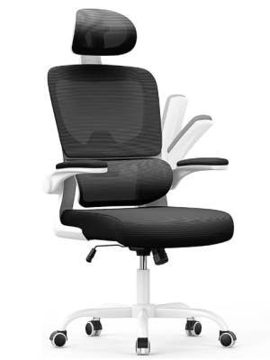 Captura de pantalla 2025-12-05 122815